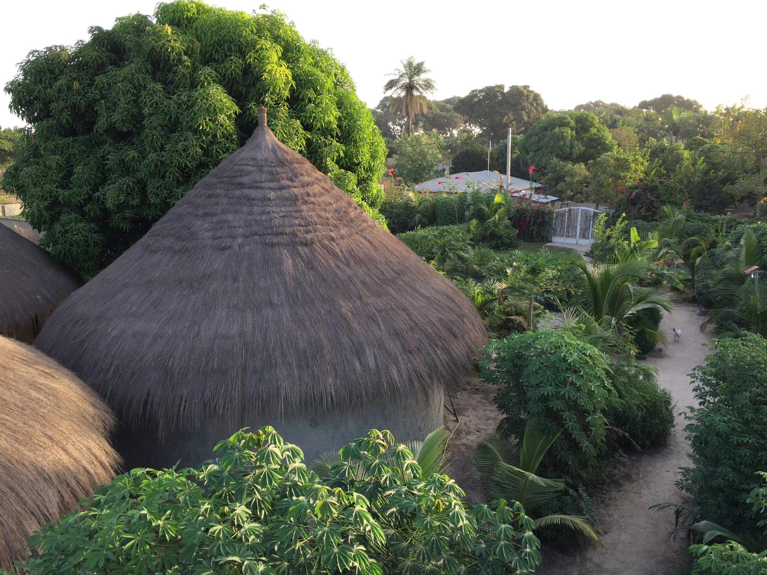 SANTA YALLA – Gambia