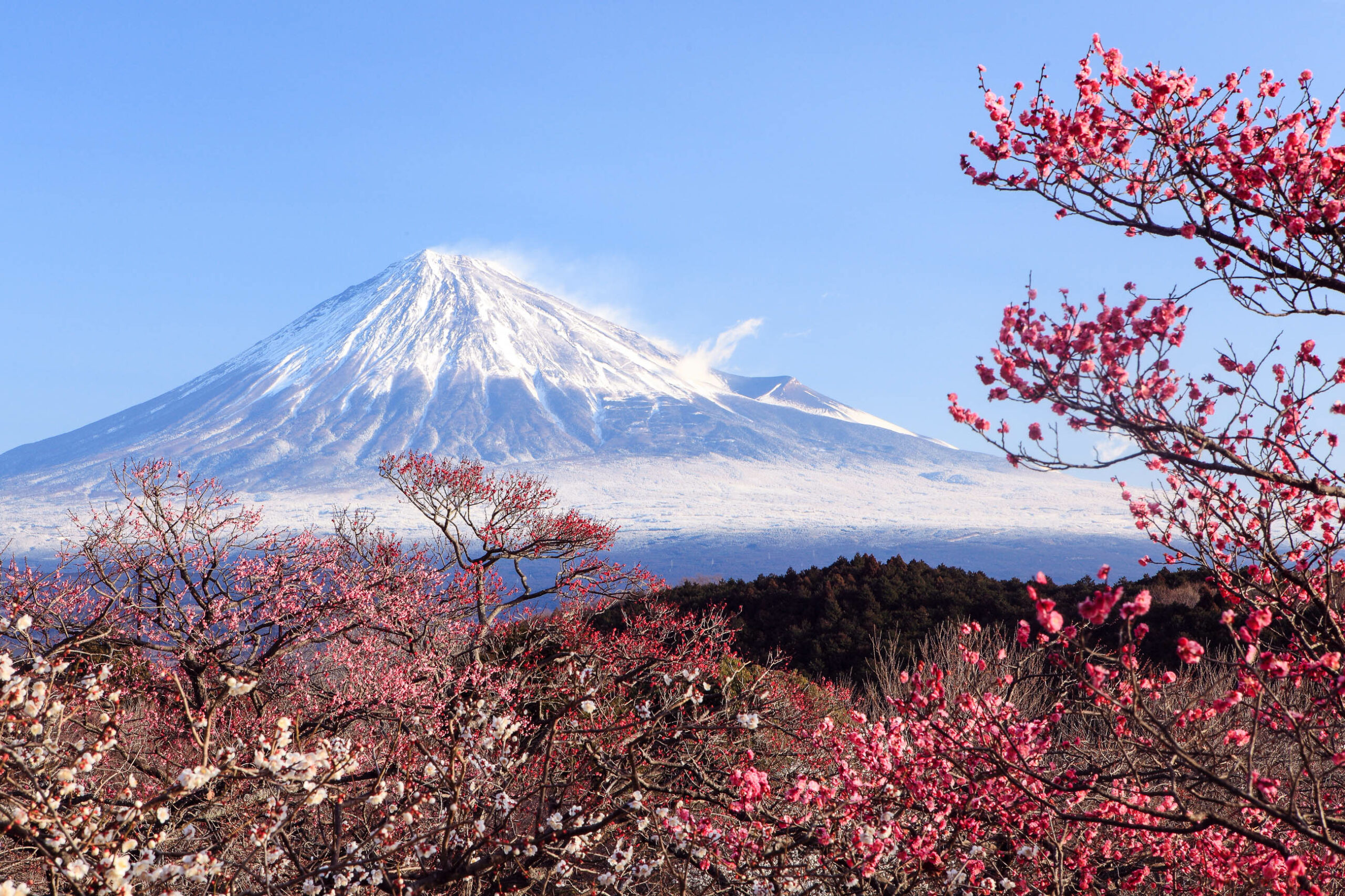 Fuji – Japan